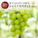 【ふるさと納税】2020年発送【訳あり】ちょっと小粒なシャイ...