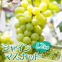 【ふるさと納税】※2020年発送※甘み抜群!生産者こだわりの...