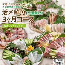 【ふるさと納税】【北海道・離島配送不可】＜定期便・全3回(連続)＞旬の鮮魚(3ヶ月コース)ブリ かんぱち 真鯛 ヒラメ シマアジ <strong>サーモン</strong> 冷蔵 簡単調理 刺身 国産 お造り <strong>柵</strong> お楽しみ 切るだけ【AP-33】【株式会社 日向屋】