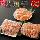 【ふるさと納税】宮崎県産若鶏むね、ささみ、手羽元セット 各2...
