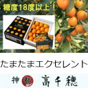 【ふるさと納税】C-9 たまたまエクセレント(2〜3月限定)
