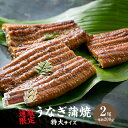 【ふるさと納税】5/31入金完了分まで【うなぎ蒲焼カット付き...