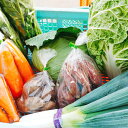 【ふるさと納税】採れたて冬野菜BOX 1月〜2月末順次お届け...