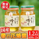 【ふるさと納税】《数量・期間限定》鹿児島春の花蜂蜜セット(6...
