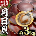【ふるさと納税】鹿児島県日置市の吹上浜の月日貝(約3kg)鮮...