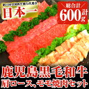 【ふるさと納税】鹿児島県産黒毛和牛の焼き肉セット 和牛ロース...