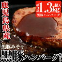 【ふるさと納税】鹿児島黒豚使用!黒豚ハンバーグ計15個約1....