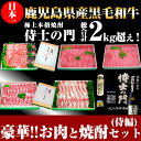 【ふるさと納税】和牛日本一!鹿児島産黒毛和牛・鹿児島黒豚計約...