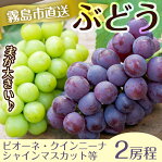 <先行予約受付中!2020年8月20日〜9月中旬の間に発送予定>ぶどうセット!その時一番おいしい旬の葡萄詰め合わせ(1.5kg〜2kg、2房程度)