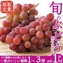 【ふるさと納税】(数量限定)『旬』のぶどう詰め合わせ