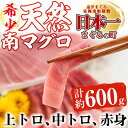 【ふるさと納税】南マグロ堪能セット 希少な南まぐろ刺身用サク...