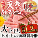 【ふるさと納税】南マグロ極上セット 希少な南まぐろ刺身用サク...