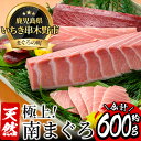 【ふるさと納税】海鮮まぐろ家の天然極上南まぐろセット 鮮度抜...