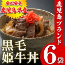【ふるさと納税】鹿児島県産 黒毛和牛丼(...
