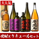 【ふるさと納税】焼酎とリキュールセット【林酒店】