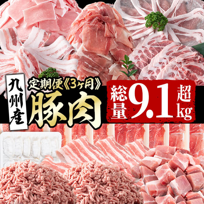 【ふるさと納税】【定期便・全3回】九州産豚肉定期便＜3ヵ月連続・毎回2kg以上・合計9.1kg以上＞使い勝手抜群の国産豚肉切り落としや餃子などを小分けパックでお届け【サンキョーミート】【カミチク】t004-4-001