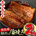 【ふるさと納税】うなぎ生産量日本一!日本初!無投薬で育った鰻...