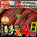 【ふるさと納税】【期間限定】今だけ1尾プレゼント!鹿児島県産...