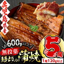 【ふるさと納税】【数量限定】うなぎ生産量日本一の鹿児島県!志...