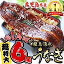 【ふるさと納税】うなぎ生産量日本一の鹿児島県!志布志市産の霧...