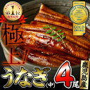 【ふるさと納税】鹿児島県大隅産!うなぎの蒲焼き4尾<計520...