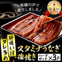 【ふるさと納税】鹿児島県産!秘伝の特上スタミナうなぎ蒲焼き(...