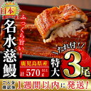 【ふるさと納税】生産量日本一!鹿児島県産うなぎ蒲焼 名水慈鰻...