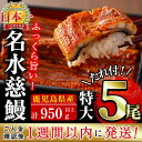 【ふるさと納税】生産量日本一!鹿児島県産うなぎ蒲焼 名水慈鰻...