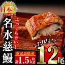 【ふるさと納税】うなぎ生産量日本一!鹿児島県産うなぎ蒲焼 名...