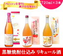 【ふるさと納税】黒糖焼酎仕込み リキュール酒セット 梅酒・す...
