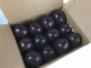 【ふるさと納税】奄美産パッションフルーツ1.8kg