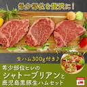 【ふるさと納税】希少部位ヒレのシャトーブリアンと鹿児島黒豚生...