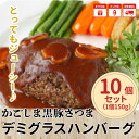 【ふるさと納税】「かごしま黒豚さつま」デミグラスハンバーグ1...