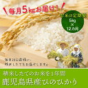 【ふるさと納税】【お米の定期便】鹿児島県産ひのひかり5kg×...