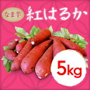 【ふるさと納税】鹿児...