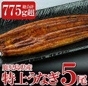 【ふるさと納税】鹿児島県産 特上うなぎ5尾【財宝】...