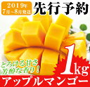 【ふるさと納税】【先行予約受付中!2019年7月中旬以降発送...