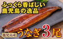 【ふるさと納税】鹿児島県産 特上うなぎ145g×3尾【財宝】...