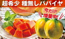 【ふるさと納税】今だけ増量!国産フルーツパパイヤ(4.5kg:6〜8玉)【財宝】