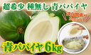 【ふるさと納税】酵素や栄養たっぷり!健康食材、青パパイヤ (6kg:5〜10玉) 酵素パパインを含んだ注目食材!【財宝】