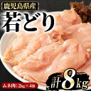 【ふるさと納税】まつぼっくり　若鶏ムネ肉8kg