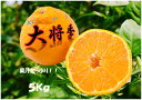 【ふるさと納税】ja-55大将季5Kg...