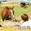 【ふるさと納税】馬とふれあう&ペットと宿泊できる! コテージPOSY 1泊2日宿泊券(1名様分)体験チケット【霧島アート牧場】