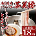 【ふるさと納税】M-801 鹿児島産ブランド豚!茶美豚しゃぶ...