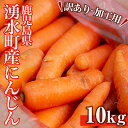 【ふるさと納税】湧水町産訳ありにんじん(10kg)ジュースに...