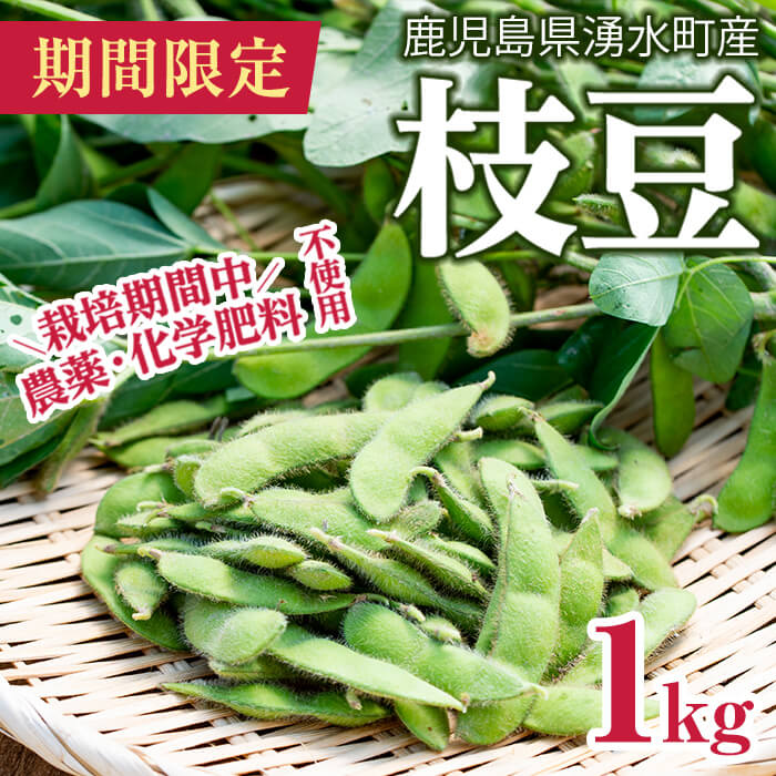 【ふるさと納税】期間限定・数量限定＜先行予約受付中！2020年10月〜10月末の間に発送予定＞湧水町産枝豆(1kg×1箱)農場直送！生のえだ豆を新鮮なままお届け!【そのやま農園】