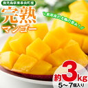 【ふるさと納税】<先行予約受付中>鹿児島県産!南国の恵み!完...