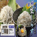【ふるさと納税】【11516】黒潮にめぐまれた鮮度とおいしさ...
