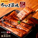 【ふるさと納税】年末特別奉仕品 大隅産 うなぎ 蒲焼 10尾...