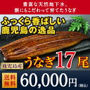 【ふるさと納税】地下水で育てた鹿児島産特上うなぎ 約145g...